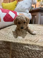 processed/21e01cdb-87ef-408c-a1b7-c979f635b61c/listing/6d246da1-6346-43c2-9c7b-81099baf9886/535a471e-73a6-4741-a4d0-10145aaf8c69