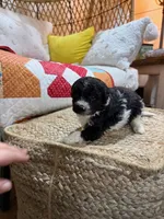 processed/21e01cdb-87ef-408c-a1b7-c979f635b61c/listing/90b5b0d2-56c3-4d42-9dcc-f2b25f850276/f77a9439-c45e-4ee3-aa7f-92b60e1143c6