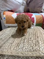 processed/21e01cdb-87ef-408c-a1b7-c979f635b61c/listing/dbc0ce32-0070-4c1f-bdd6-5cfbee324d4c/21ff5160-fd7e-48ea-b647-ebb1e950f976