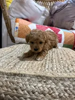 processed/21e01cdb-87ef-408c-a1b7-c979f635b61c/listing/dbc0ce32-0070-4c1f-bdd6-5cfbee324d4c/286d6982-2ac0-4259-ac47-576225cbb3c8