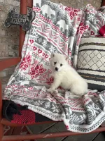 processed/21e01cdb-87ef-408c-a1b7-c979f635b61c/listing/deedb3ca-dce6-4c4d-856b-8bbfd234e6d2/2fdcbb9d-e8bc-43f7-9e3a-cc56843f5850