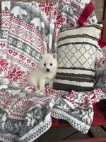 processed/21e01cdb-87ef-408c-a1b7-c979f635b61c/listing/deedb3ca-dce6-4c4d-856b-8bbfd234e6d2/d391850a-f1b6-49b5-8f87-2712db7ce44f