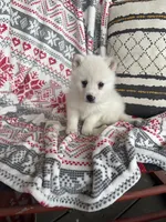 processed/21e01cdb-87ef-408c-a1b7-c979f635b61c/listing/deedb3ca-dce6-4c4d-856b-8bbfd234e6d2/f013d014-3cd6-45d3-b41f-ad51af0e8f5e