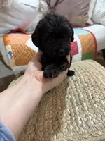 processed/21e01cdb-87ef-408c-a1b7-c979f635b61c/listing/f5444f23-907d-46d3-b69f-906159801fc5/93ab9c0c-35f5-4338-87c7-725278b1910b