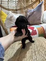 processed/21e01cdb-87ef-408c-a1b7-c979f635b61c/listing/f5444f23-907d-46d3-b69f-906159801fc5/93b7957f-7e70-4664-bb6b-40f93df491b3