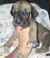 processed/21ee8f6d-4ae1-4482-a1fb-0b75ddd07d53/listing/323efbee-67a9-47c8-8ccc-d3053d385677/0aad168f-75cc-472e-83e0-af17ffc56a12