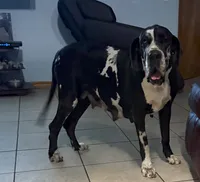 processed/21ee8f6d-4ae1-4482-a1fb-0b75ddd07d53/listing/323efbee-67a9-47c8-8ccc-d3053d385677/12df4b1a-a525-41e2-8567-b49cc3087db3