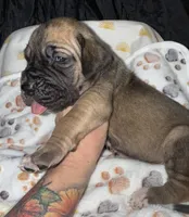 processed/21ee8f6d-4ae1-4482-a1fb-0b75ddd07d53/listing/323efbee-67a9-47c8-8ccc-d3053d385677/15d75c09-eb57-4635-9ac1-605fe3d93a54