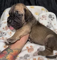 processed/21ee8f6d-4ae1-4482-a1fb-0b75ddd07d53/listing/323efbee-67a9-47c8-8ccc-d3053d385677/381d8c9b-a9df-4f35-a67e-f054422887b1