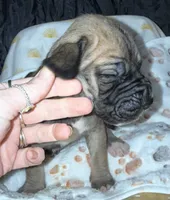 processed/21ee8f6d-4ae1-4482-a1fb-0b75ddd07d53/listing/323efbee-67a9-47c8-8ccc-d3053d385677/cf5ee969-8595-4ceb-8aea-dc092cbb0e2a