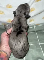 processed/21ee8f6d-4ae1-4482-a1fb-0b75ddd07d53/listing/597ad821-2b91-48c8-a0ac-0eb765fd751b/0cf19bde-a357-407c-b933-647cdb6a73dd