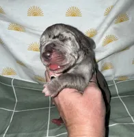 processed/21ee8f6d-4ae1-4482-a1fb-0b75ddd07d53/listing/597ad821-2b91-48c8-a0ac-0eb765fd751b/18d20378-8699-487b-977f-0d00fa0cb349