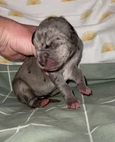 processed/21ee8f6d-4ae1-4482-a1fb-0b75ddd07d53/listing/597ad821-2b91-48c8-a0ac-0eb765fd751b/512deddc-f700-4943-9f9a-85715e23f208