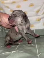 processed/21ee8f6d-4ae1-4482-a1fb-0b75ddd07d53/listing/597ad821-2b91-48c8-a0ac-0eb765fd751b/56361fad-950d-4ef6-9a03-51805624d9e1