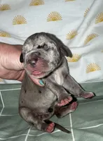 processed/21ee8f6d-4ae1-4482-a1fb-0b75ddd07d53/listing/597ad821-2b91-48c8-a0ac-0eb765fd751b/93aec407-40aa-42cd-8be2-bf6f3ee0b855