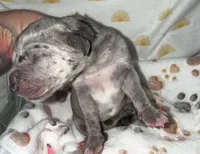 processed/21ee8f6d-4ae1-4482-a1fb-0b75ddd07d53/listing/597ad821-2b91-48c8-a0ac-0eb765fd751b/c7c4b714-988b-4311-819c-a263cddba5a5