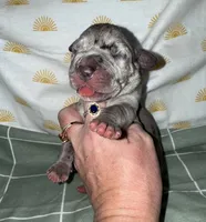 processed/21ee8f6d-4ae1-4482-a1fb-0b75ddd07d53/listing/597ad821-2b91-48c8-a0ac-0eb765fd751b/d8d7dd3e-568e-4ef9-a3e8-dc63ee1c24b6