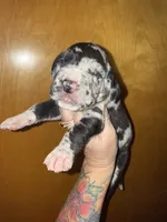 processed/21ee8f6d-4ae1-4482-a1fb-0b75ddd07d53/listing/8b5874ea-b987-4890-926b-d572d65cc279/1647418a-e45b-4d53-9427-53c5ec4d8154