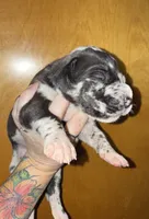 processed/21ee8f6d-4ae1-4482-a1fb-0b75ddd07d53/listing/8b5874ea-b987-4890-926b-d572d65cc279/19d714fe-7b1e-4575-8759-c1381a67b3e1