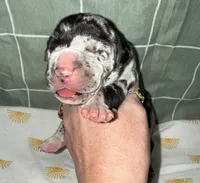 processed/21ee8f6d-4ae1-4482-a1fb-0b75ddd07d53/listing/8b5874ea-b987-4890-926b-d572d65cc279/6223cf96-bbc3-483c-8635-0d6e00d6dbef