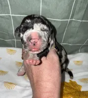 processed/21ee8f6d-4ae1-4482-a1fb-0b75ddd07d53/listing/8b5874ea-b987-4890-926b-d572d65cc279/8285bab9-b14b-4d25-9623-6e61f85432bf