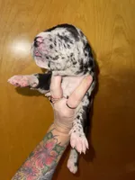 processed/21ee8f6d-4ae1-4482-a1fb-0b75ddd07d53/listing/8b5874ea-b987-4890-926b-d572d65cc279/c00704e7-279b-4888-973c-cddca9ddac65