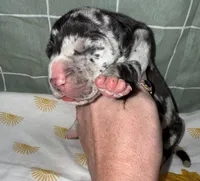 processed/21ee8f6d-4ae1-4482-a1fb-0b75ddd07d53/listing/8b5874ea-b987-4890-926b-d572d65cc279/e1bfdd89-d458-4d09-9c15-213ecda2bc2b