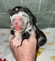 processed/21ee8f6d-4ae1-4482-a1fb-0b75ddd07d53/listing/8b5874ea-b987-4890-926b-d572d65cc279/e29b39ff-5281-4138-9281-62ebd07262e9