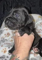 processed/21ee8f6d-4ae1-4482-a1fb-0b75ddd07d53/listing/e42c8add-bc33-4589-9019-45865894153e/2e37e81a-aaa9-4a2c-9c18-c25fc6eb2dbc