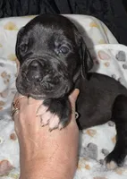 processed/21ee8f6d-4ae1-4482-a1fb-0b75ddd07d53/listing/e42c8add-bc33-4589-9019-45865894153e/35921025-4f17-4142-a123-ae95beceb70d