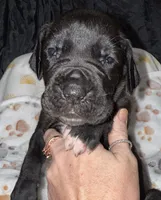 processed/21ee8f6d-4ae1-4482-a1fb-0b75ddd07d53/listing/e42c8add-bc33-4589-9019-45865894153e/963bfbfd-9e89-4141-9fd9-33db3ecfd695