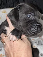 processed/21ee8f6d-4ae1-4482-a1fb-0b75ddd07d53/listing/e42c8add-bc33-4589-9019-45865894153e/e54b6c50-e28c-423a-a0ee-ad3d7a2f5e30