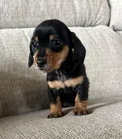 processed/21f3407b-d30c-45e5-996a-ca3e658c3862/listing/4f67f7c5-c035-48ac-b33a-711607e17c72/2f53c496-223c-4f86-a76a-30b1b8999a14