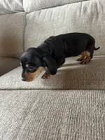 processed/21f3407b-d30c-45e5-996a-ca3e658c3862/listing/4f67f7c5-c035-48ac-b33a-711607e17c72/46c03759-5f95-4ed2-9873-616170e97f09