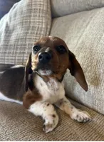 processed/21f3407b-d30c-45e5-996a-ca3e658c3862/listing/9d737e9c-64f1-4977-802e-274157ea9093/1884cf5d-c645-4cbe-8228-a7dbfead31cc