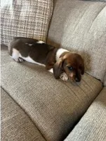 processed/21f3407b-d30c-45e5-996a-ca3e658c3862/listing/9d737e9c-64f1-4977-802e-274157ea9093/4b6bc932-ad45-4301-9e22-9437b9484c96