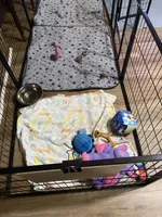 processed/21f9352b-5f19-4f6b-aae6-e494c28365cc/facility/075a92b6-5282-4db2-b083-a81a8cca9390