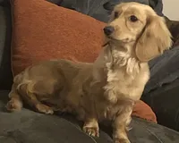 processed/21f9352b-5f19-4f6b-aae6-e494c28365cc/facility/634c1875-14e8-44af-8ab1-a7d021d7ed00