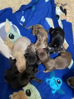 processed/21f9352b-5f19-4f6b-aae6-e494c28365cc/facility/a2cfa7ad-c97a-4cb6-892a-727545d2d510