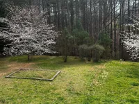 processed/21f9352b-5f19-4f6b-aae6-e494c28365cc/facility/f71d0313-7f1a-4486-9618-992a1fa5bad2