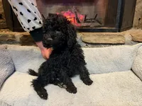 processed/21f9352b-5f19-4f6b-aae6-e494c28365cc/listing/38421763-16d3-4998-9288-a352f54a3836/13b43b80-6234-4f8c-9a18-a474a49c4fb1