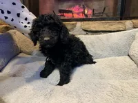 processed/21f9352b-5f19-4f6b-aae6-e494c28365cc/listing/38421763-16d3-4998-9288-a352f54a3836/5165c359-dc57-40e5-a887-0129b4b003ec