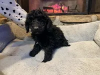 processed/21f9352b-5f19-4f6b-aae6-e494c28365cc/listing/38421763-16d3-4998-9288-a352f54a3836/53a10095-a884-4a3d-890c-7742f3780f2c