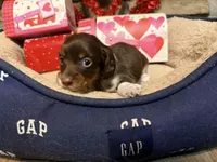 processed/21f9352b-5f19-4f6b-aae6-e494c28365cc/listing/ed2dcdf4-e58c-46af-864e-4f602b704412/1006d9b6-2c5c-4214-ab33-073f4d126bf7