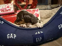 processed/21f9352b-5f19-4f6b-aae6-e494c28365cc/listing/ed2dcdf4-e58c-46af-864e-4f602b704412/ad1651d2-657c-4fd2-be02-25cdbf2dd1aa