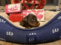 processed/21f9352b-5f19-4f6b-aae6-e494c28365cc/listing/ed2dcdf4-e58c-46af-864e-4f602b704412/c44a1e9b-ac3c-4aea-bde6-14054fd67b0a