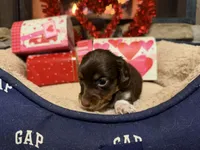 processed/21f9352b-5f19-4f6b-aae6-e494c28365cc/listing/ed2dcdf4-e58c-46af-864e-4f602b704412/d3593436-be57-4edc-97b6-0cc5e23c72b9