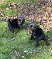 processed/21fcbeba-98ad-4e95-8bf5-cd9fcf208495/facility/baa9d1a6-61cb-4171-aefd-347a4bc350bd