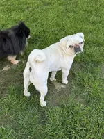 processed/21fcbeba-98ad-4e95-8bf5-cd9fcf208495/facility/d5c52009-c4fc-4652-950d-590e5102e215