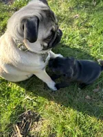 processed/21fcbeba-98ad-4e95-8bf5-cd9fcf208495/facility/e4ec4651-9a4b-4bd0-9215-d313c3699cc5